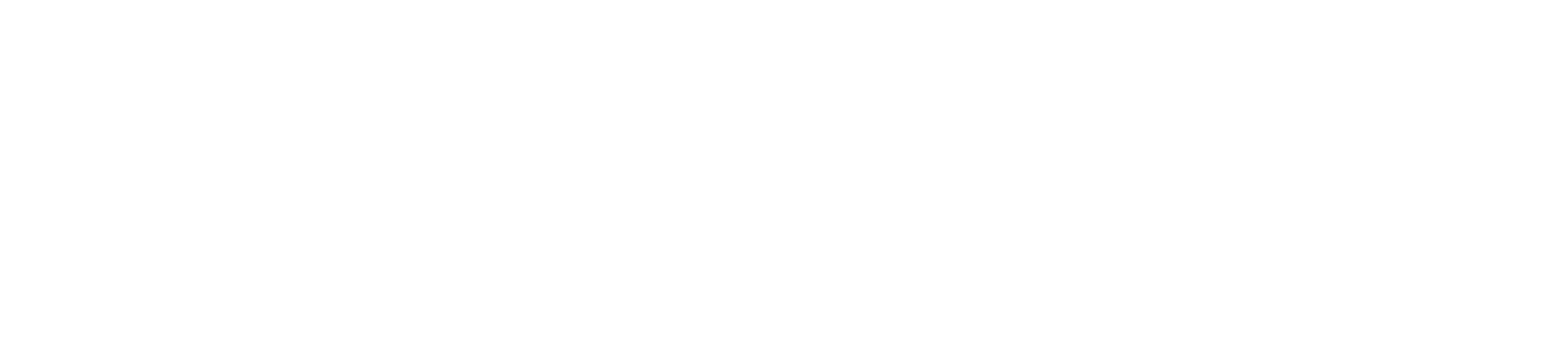 Nep X Logo